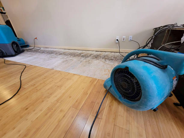 Professional Water Damage Repair technician working in Monroe, TN